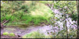 Willow Creek on Wellwood Nature Preserve